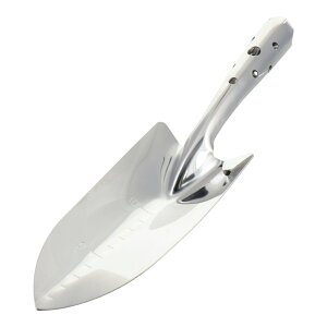 y|Cg3{ 12/3~12/11z OR[|[V sita XeXڐARe A425 331425 XRbv Vx Vx ڐASe @ 