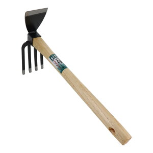 y|Cg3{ 11/4~11/11z OR[|[V sita ЎL CJ^[L A485 331485 g{   n K[f 