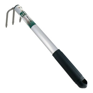 y2_ȏw5%OFFN[| 11/12~11/16z OR[|[V sita XeX3{F A~P A622 331622 ܂ N}f W