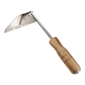 y|Cg3{ 11/18~11/27z OR[|[V sita Xe񒷂˂芙ignj A623 331623 芙