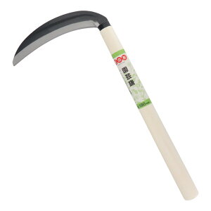 y|Cg3{ 12/3~12/11z OR[|[V Ԃ̗F S|| 933 823933 芙