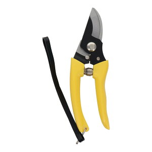 y|Cg3{ 10/30~11/1zOR[|[V sita  900B 900801 ΂ oT~  nT~ ͂