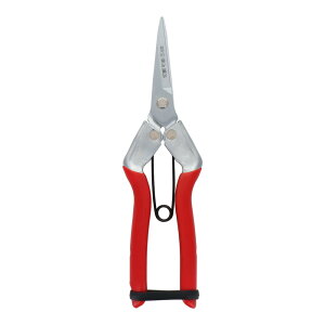 y|Cg3{ 11/4~11/11z OR[|[V sita ̉ʁE؂͂ A911 905011 ΂ oT~  nT~ ͂