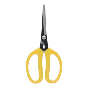 y|Cg3{ 11/4~11/11z OR[|[V sita n؉ A042 905042 ΂ oT~  nT~ ͂