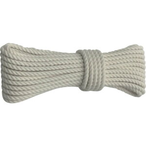 y|Cg3{ 11/18~11/27z ^JCN [v ȃ[v3c 6×10m A-61 Ɨp  ג Œ DIY