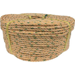 y200~OFFN[|zz 11/18~11/27z ^JCN [v KP[v 8×200m K8-200 y x ϋv  ב Œ Ɨp