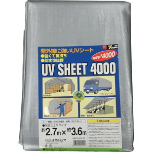y|Cg3{ 9/25܂Łz ^JCN V[g #4000Vo[V[g 2.7×3.6 SL40-05