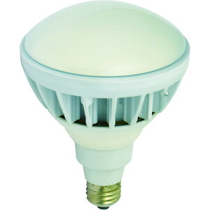 yIōő100%|CgobN Gg[tz H NICHIDO LED nCXybNGRrbN20W E26 F L20W-JW110-50K