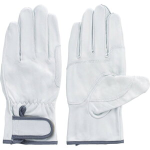 y|Cg3{ 11/18~11/27z xmO[u Y{v CW[{[C 3L 3625