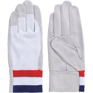 y|Cg3{ 11/18~11/27z xmO[u {v܁iS^Cvj F|806  LL 5836