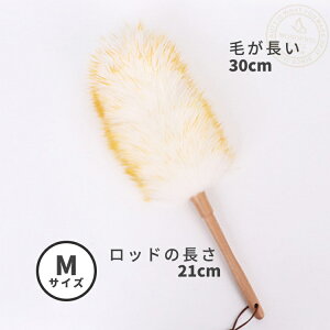 yX[p[SALEzr nfBCp[ Ђ ق  ͂ |  uVbv n