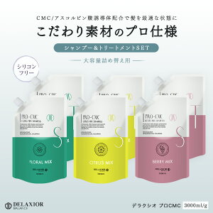 g[gg fNVI v CMC Pi 3000mL Tꔄ VgX t[ x[ ~bNX mVR wAPA X lߑւ