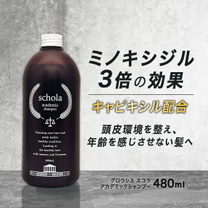 XJvVv[ wAPA 480mL lߑւ Tꔄ p jp   ~mLVW 3{p   э CfA AJf~bN Vv[ 480mL