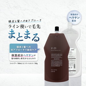 TR[ R21 R-21 Zbg 700ml Vv[ g[gg w}`  ێ n RV wAJ[ p[} R-21 lߑւ Tꔄ