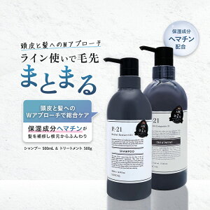 TR[ R21 R-21 500ml Vv[ g[gg Zbg wAPA Y p Tꔄ ێ wAJ[ p[}