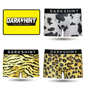 _10%OFF^ {NT[pc Y DARKSHINY Aj}  fUC 2025 v[g Mtg   킢  jp  pc Ci[ a  q q v 