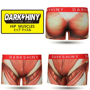 _N[|10%OFF^ {NT[pc Y DARKSHINY HIP MUSCLES qbv}bX 2025 v[g Mtg   킢 jp  pc Ci[ a  q q v e