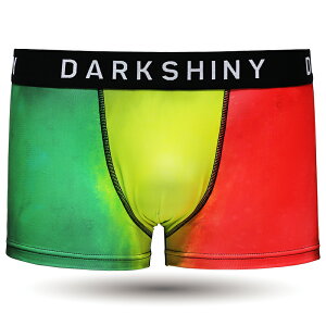 _10%OFF^ {NT[pc Y DARKSHINY THE RASTA LION X^CI 2025 v[g Mtg   킢 jp  pc Ci[ a  q q v e