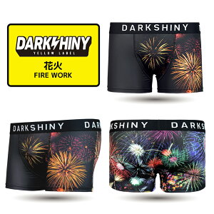 _10%OFF^ {NT[pc Y DARKSHINY t@CA[N ԉ 2025 v[g Mtg   킢 jp  pc Ci[ a  q q v e