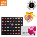 高級チョコレート ギフト【正規販売店 ベルギー王室御用達 ジャン・ガレー お中元】 ミニバー12本 ブリザーブドフラワー(ピンク)サンクスカード【母の日 プチギ...