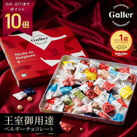 【ポイント10倍】 まだ間に合う バレンタイン ギフト ベルギー王室御用達 チョコレート ガレー ナノバー50個入 2026 スイーツ お菓子 チョコ 個包装 小分け 法人 会社 職場 退職 祝い 出産 内祝い お配り用 ばらまき 大量 大容量 高級 おしゃれ 人気 有名 誕生日 プレゼント