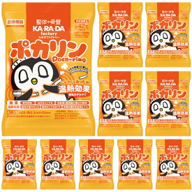 一般医療機器 ポカリン10個 セット 温熱 治療 カラダファクトリー 肩こり 首こり 貼らない カイロ 使い捨て 防寒 寒さ対策 冷え対策 屋外 首を 温める 首にかける ネックレス 肩掛け 肩を温める グッズ 冬 通勤 オフィス アウトドア 冷え性 対策グッズ