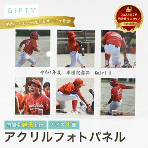 싅 tHgpl LO TCY `[ʐ^ 掿 I[_[Ch cj ƋLO votHg ̂f ₷fUC LOi wZ Nu`[ya08