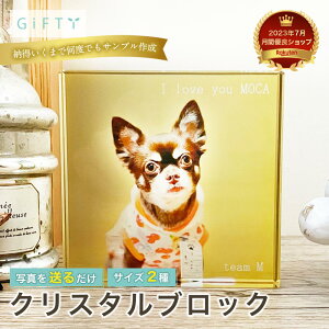 yNX^ubNz  ʐ^ CG[fUC ybgtHg tu ̎q   L Jbv LO ۑp v[g i F vo C