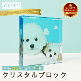 【クリスタルブロック】犬 名入れ 写真入り ペットギフト モコモコ白背景 カップル向け 記念日 贈答用 プレゼント 思い出保存 インテリア メモリアル品 高品質 印刷仕上げ【c01】