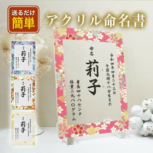 yAN A33z `   @ANŊzIVȖ lC@ Ԃ QA[g z  Ԃ j[{[tHg oؖ