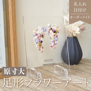  r[T 1,000~N[|     y ` t[A[g fairy i02z^ Baby Ԃ oYj j[{[  t[Mtg LO v[g  c