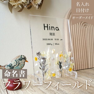 r[T1,000~N[|y  flower field Yellow i07z  킢 I[_[ Ch ` ` Ԃ oYj j[{[ vU[uht[ t[ Mtg LO