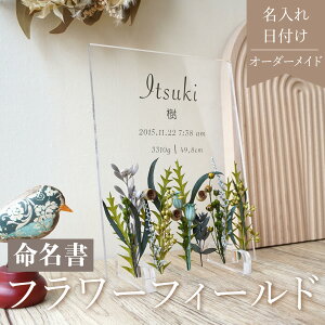 r[T1,000~N[|y  flower field Green i08z  킢 I[_[ I[_[Ch Baby Ԃ oYj j[{[ EFfBO vU[uht[ 