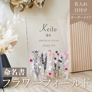 r[T1,000~N[|y  flowerfield Pink i09 z  킢 I[_[ I[_[Ch Baby Ԃ oYj j[{[ vU[uht[ t[ Ce