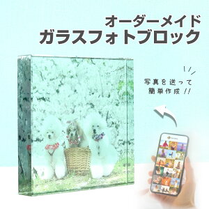 r[T1,000~N[|y KXubN C01 zybg ObY Ƒʐ^ 킢  L Ck lR a p Lp IWiObY Mtg   LOAo tHg