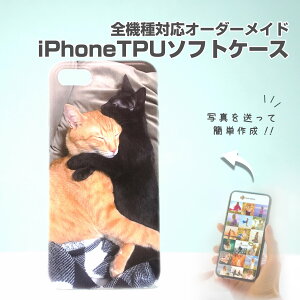 r[T1,000~N[|y I[_[Ch iPhone \tgP[X H02 z Jo[ S@Ή ˂ L cat   dog q Ԃ q  10 20 30 40 50 v[g Mtg ʐ^ 
