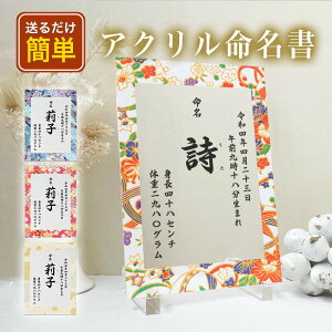 yAN A33z_ Vv tHgpl AN tHgt[ tHgX^h ʐ^t[ I[_[Ch   Ԃ I[_[ ʐ^ oYj oY Mtg