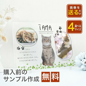 r[T1,000~N[| A48 yꖳz 蕨  ͂ނ[ ʐ^ ʐ^ tHg t[ AN LOi I[_[ ̎qObY a  tHgObY ފ I[