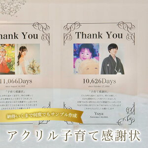 qĊӏ Ƒ ANpl ʐ^  t bZ[W Zj[ EFfBOMtg ivۑ^ voyA30z