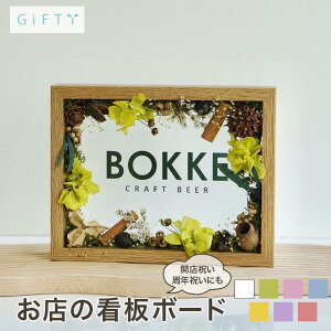 X܊Ŕ{[h@JtFo[@Ntgr[X@T@hCt[@[΃J[@ؐt[@̂镵͋C@uhEρ@tTC@@ȃXy[X