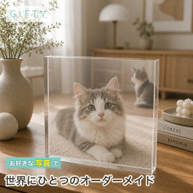 ガラスブロック 猫 ペット写真 写真パネル 名入れ 写真立て 記念品 ペット仏壇 贈り物 フォトフレーム フォトキューブ オリジナル 卓上 記念日 ギフト クリスタル 飾り 置き物 感謝 プレゼント メモリアルグッズ インテリア おしゃれ【c01】