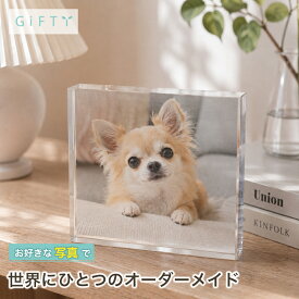 ガラスブロック 犬写真 ペット写真 写真パネル フォトフレーム クリスタル 飾り インテリア オリジナル 置き物 感謝 誕生日 ギフト ペット仏壇 フォトキューブ 写真立て プレゼント ディスプレイ 名入れ 贈り物 おしゃれ 卓上 記念品【c01】