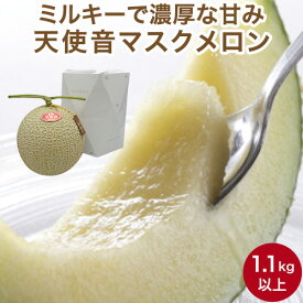 【特秀】天使音 完熟 マスクメロン 1.1kg以上 静岡県産 高級メロン 果物 父の日 ギフト 送料無料