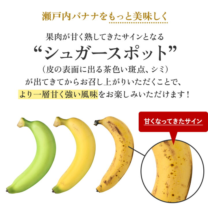楽天市場 特秀品 瀬戸内バナナ 10本 小さめサイズ 岡山県産 無農薬 国産バナナ 送料無料 ギフト 予約販売 モノックショップfruits