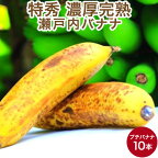 【特秀品】瀬戸内バナナ 10本 小さめサイズ 岡山県産 無農薬 国産バナナ 送料無料 ギフト 【予約販売】