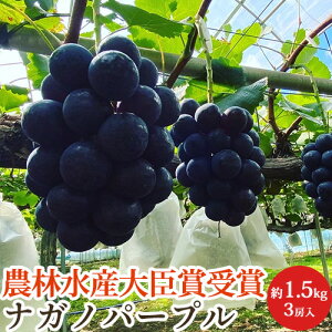 y_ѐYb܁zG iKmp[v 3[ 1.5kg 쌧Y Ԃǂ   Mtg p ϔ Yn