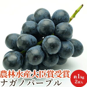 G iKmp[v 2[ 1kg 쌧Y y_ѐYb܁zԂǂ   Mtg p ϔ Yn