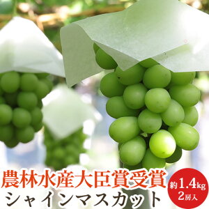 y_ѐYb܁zG VC}XJbg 2[ 1.4kg 쌧Y Ԃǂ   Mtg p ϔ Yn