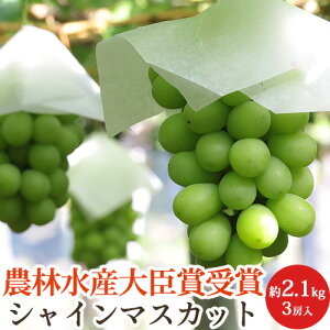 y_ѐYb܎܁zVC}XJbg 3[ 2.1kg 쌧Y Ԃǂ   Mtg p ϔ Yn