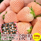 【完熟】淡雪 いちご 完熟 白イチゴ 2パック入り箱 約500g 産地直送 送料無料 熊本県産 ギフト